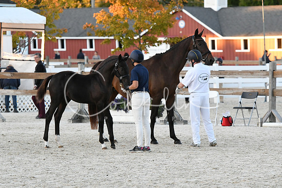 HSM_5786