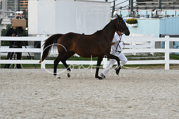 HSM_5796