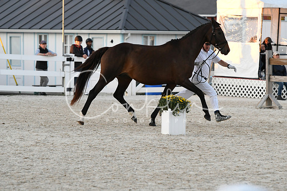 HSM_5801