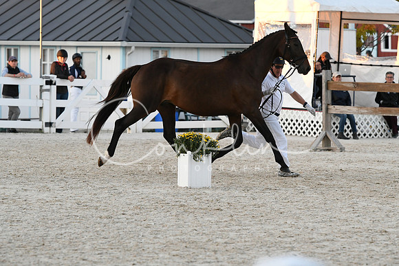 HSM_5802