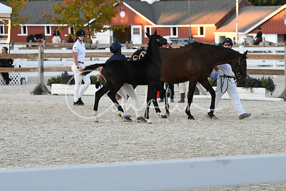 HSM_5809
