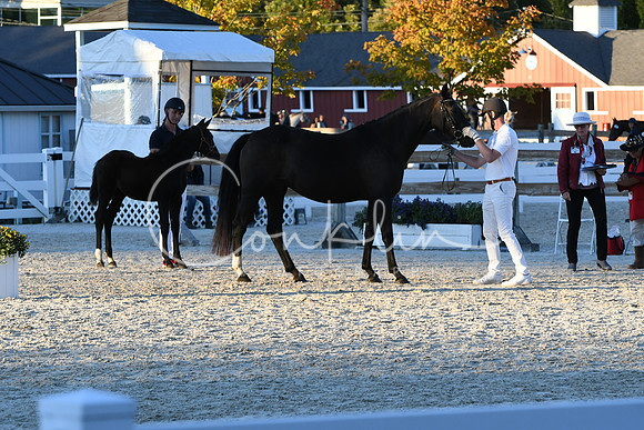 HSM_5636