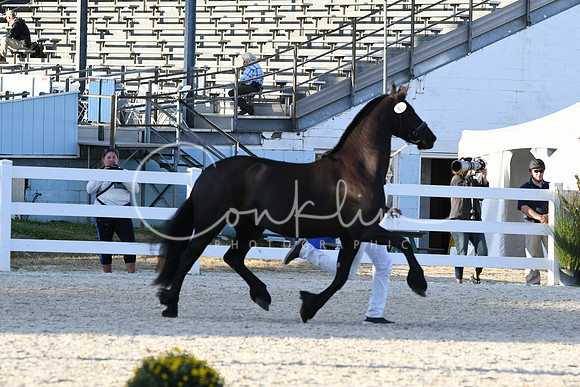 HSM_5529