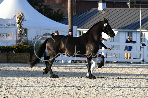 HSM_5532