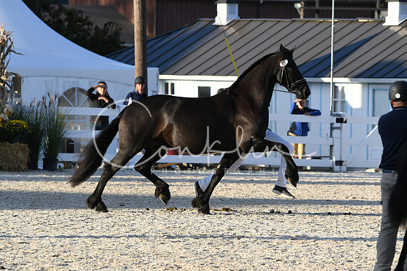HSM_5533