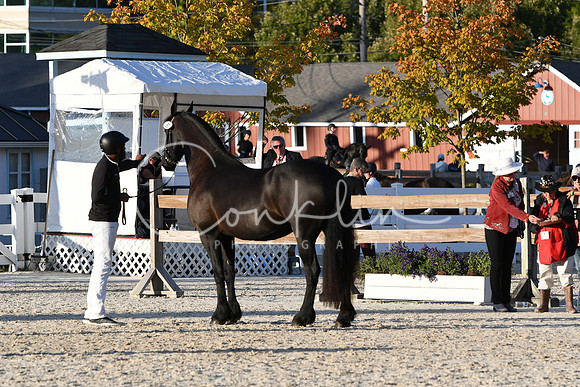 HSM_5541