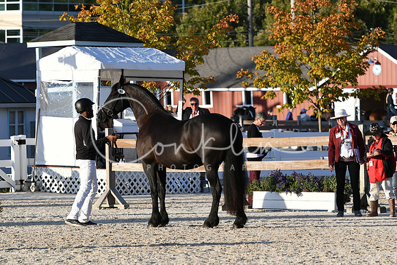 HSM_5542