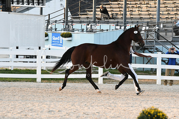 HSM_5588