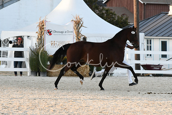 HSM_5589