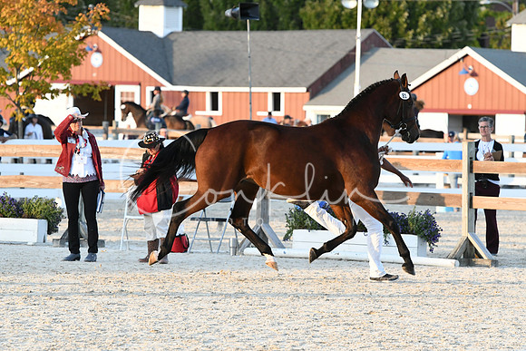 HSM_5594