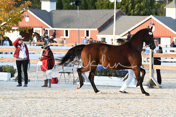HSM_5595