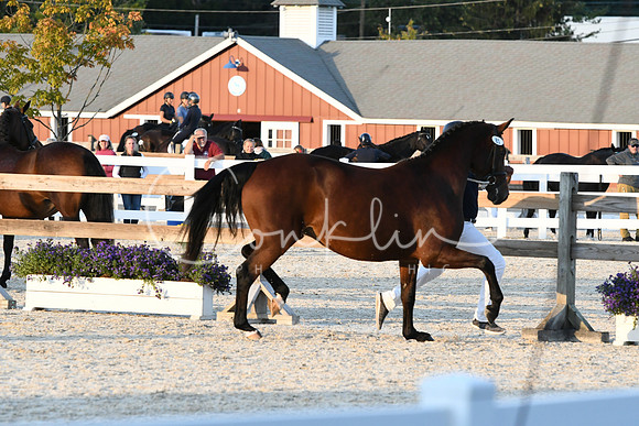 HSM_5597