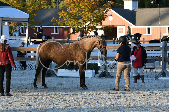 HSM_5608