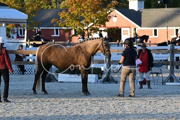 HSM_5609