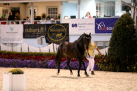 RJC10115