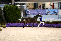 RJC10200