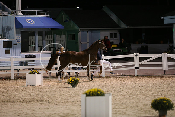 RJC10464