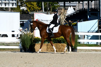 HSM_3526