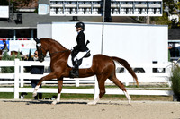 HSM_3567