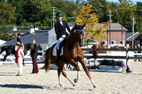 HSM_3617