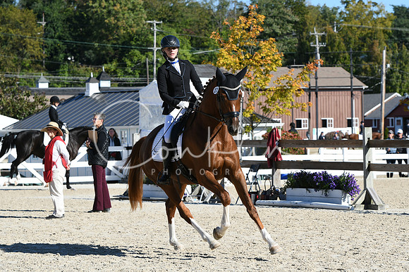HSM_3617