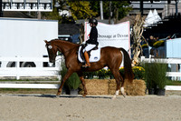 HSM_3529