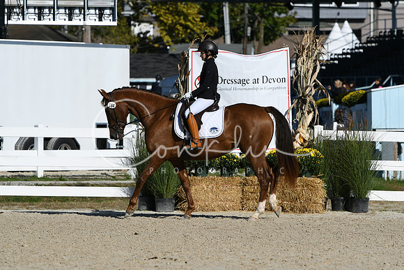 HSM_3529