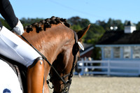 HSM_3530