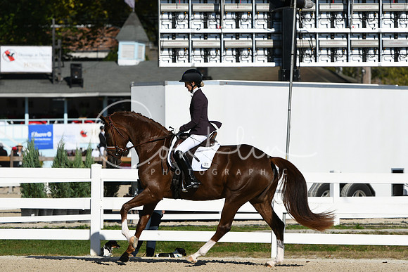 HSM_3577