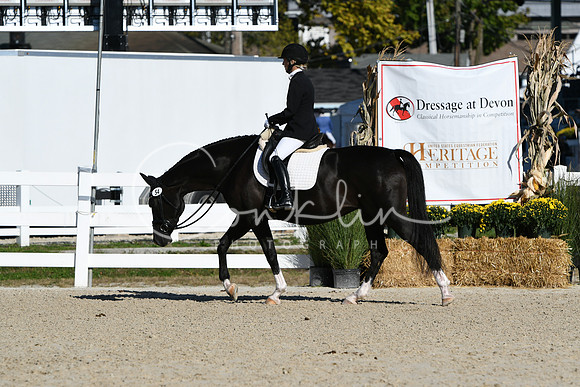HSM_3528