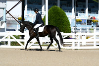 HSM_3537