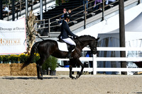 HSM_3612