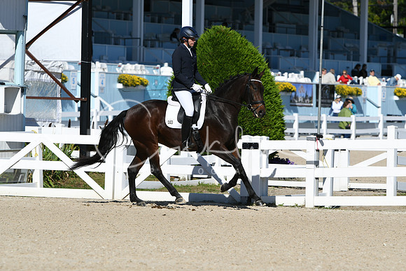 HSM_3809