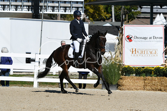 HSM_3811