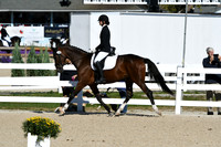 HSM_3676