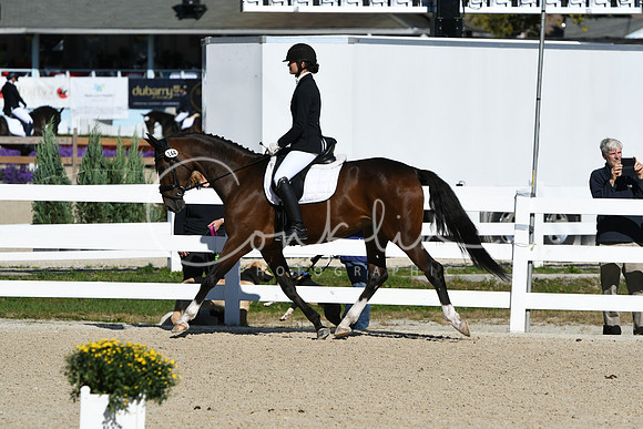 HSM_3676