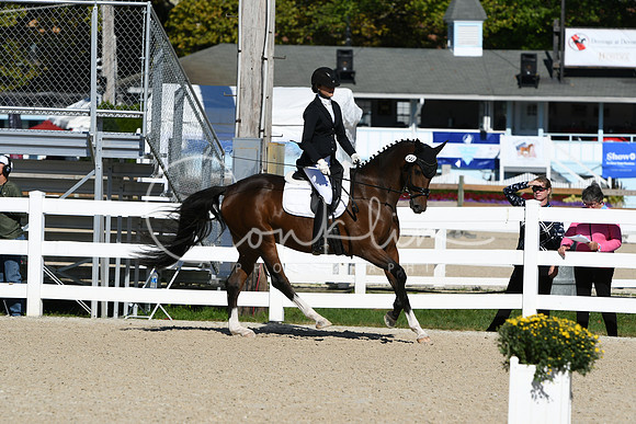 HSM_3780