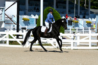 HSM_3762