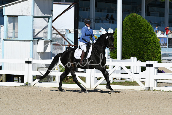 HSM_3775