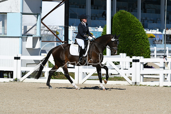 HSM_3806