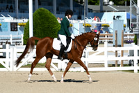 HSM_3719