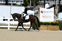 HSM_3875