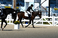 HSM_3972