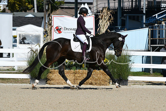HSM_3938