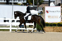 HSM_3927