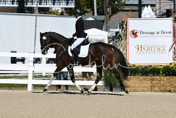 HSM_3927