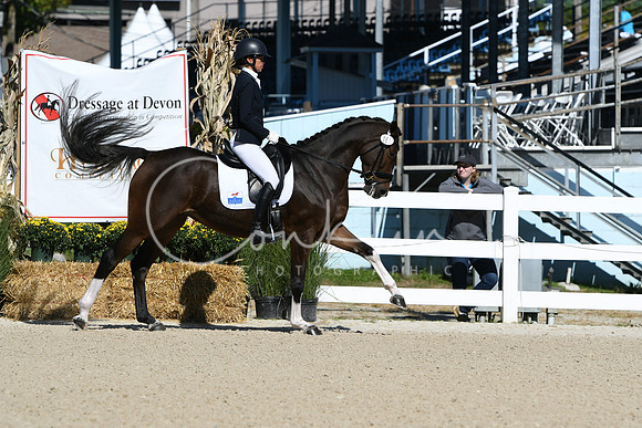 HSM_3951