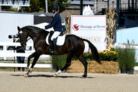 HSM_3906