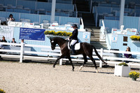 145 Equitos Fursten Hit