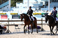 176 CONTENDER MOON
